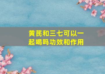 黄芪和三七可以一起喝吗功效和作用