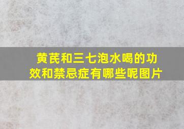 黄芪和三七泡水喝的功效和禁忌症有哪些呢图片