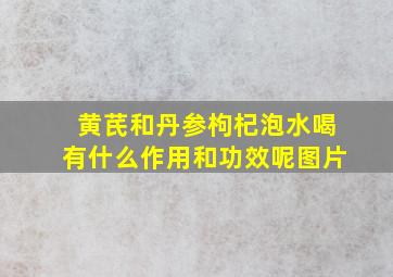 黄芪和丹参枸杞泡水喝有什么作用和功效呢图片