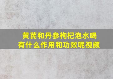 黄芪和丹参枸杞泡水喝有什么作用和功效呢视频