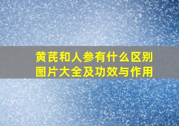 黄芪和人参有什么区别图片大全及功效与作用