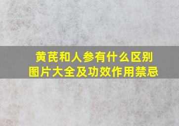 黄芪和人参有什么区别图片大全及功效作用禁忌