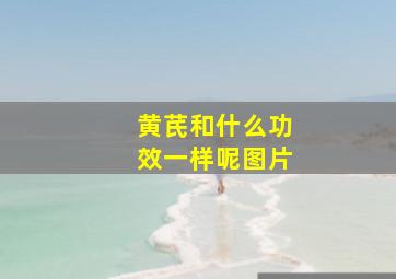 黄芪和什么功效一样呢图片