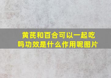 黄芪和百合可以一起吃吗功效是什么作用呢图片