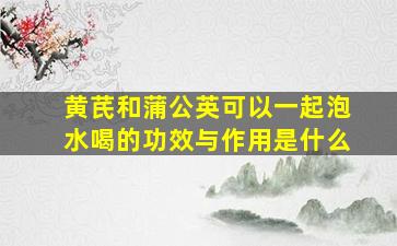 黄芪和蒲公英可以一起泡水喝的功效与作用是什么