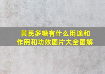 黄芪多糖有什么用途和作用和功效图片大全图解