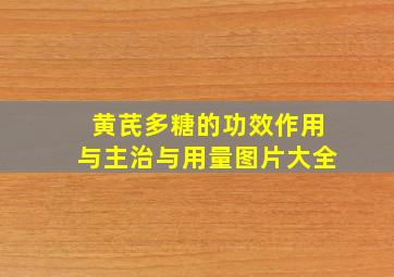 黄芪多糖的功效作用与主治与用量图片大全