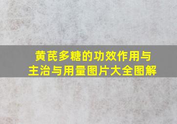 黄芪多糖的功效作用与主治与用量图片大全图解