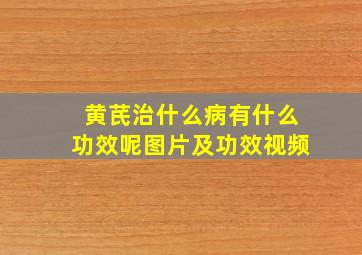 黄芪治什么病有什么功效呢图片及功效视频