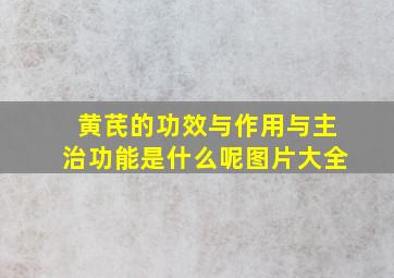 黄芪的功效与作用与主治功能是什么呢图片大全