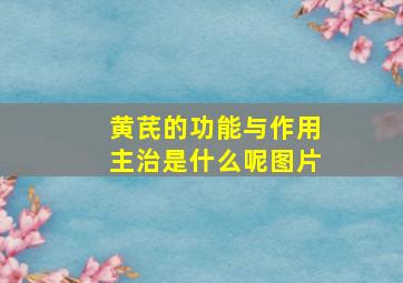 黄芪的功能与作用主治是什么呢图片