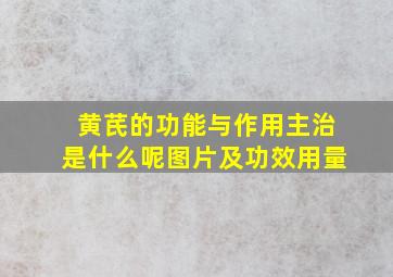 黄芪的功能与作用主治是什么呢图片及功效用量