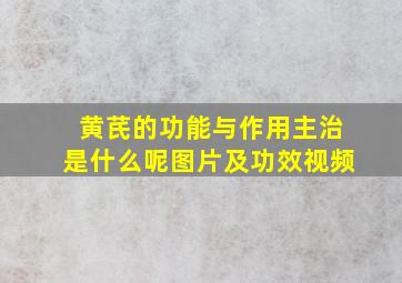 黄芪的功能与作用主治是什么呢图片及功效视频