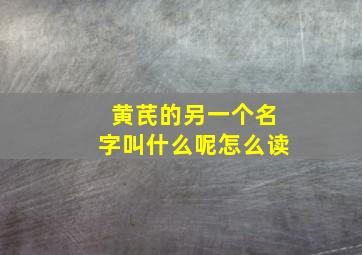 黄芪的另一个名字叫什么呢怎么读