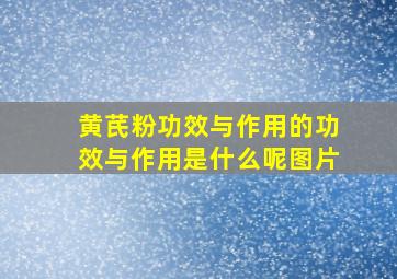 黄芪粉功效与作用的功效与作用是什么呢图片