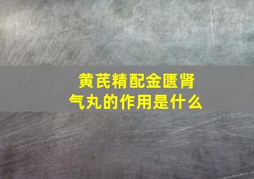 黄芪精配金匮肾气丸的作用是什么