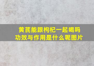 黄芪能跟枸杞一起喝吗功效与作用是什么呢图片