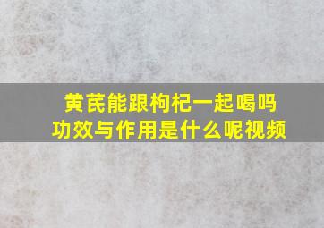 黄芪能跟枸杞一起喝吗功效与作用是什么呢视频