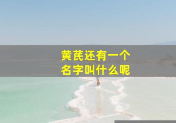 黄芪还有一个名字叫什么呢