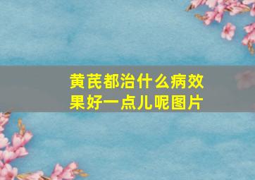 黄芪都治什么病效果好一点儿呢图片