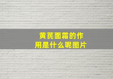 黄芪面霜的作用是什么呢图片