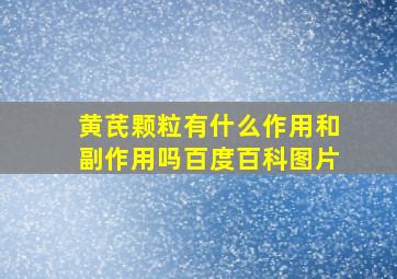 黄芪颗粒有什么作用和副作用吗百度百科图片