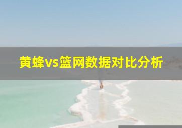 黄蜂vs篮网数据对比分析