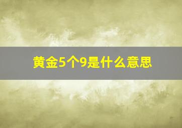 黄金5个9是什么意思