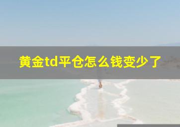 黄金td平仓怎么钱变少了