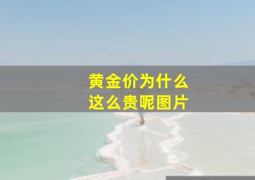 黄金价为什么这么贵呢图片