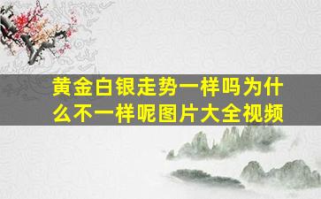 黄金白银走势一样吗为什么不一样呢图片大全视频