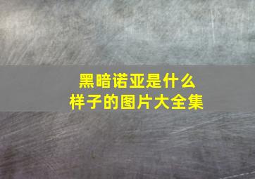 黑暗诺亚是什么样子的图片大全集