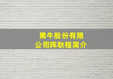 黑牛股份有限公司阵耿程简介