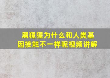 黑猩猩为什么和人类基因接触不一样呢视频讲解