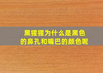 黑猩猩为什么是黑色的鼻孔和嘴巴的颜色呢