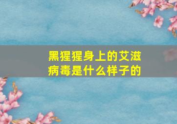 黑猩猩身上的艾滋病毒是什么样子的