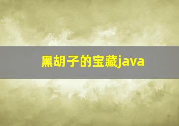 黑胡子的宝藏java