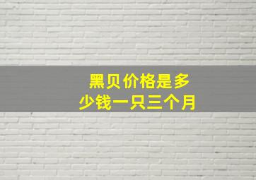 黑贝价格是多少钱一只三个月