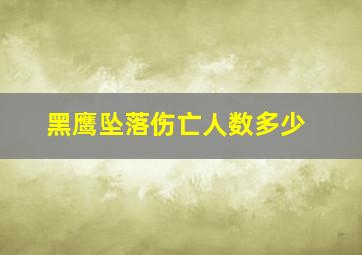 黑鹰坠落伤亡人数多少