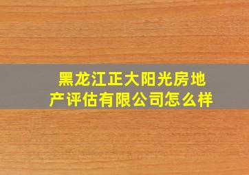 黑龙江正大阳光房地产评估有限公司怎么样