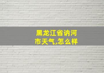 黑龙江省讷河市天气,怎么样