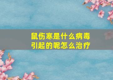 鼠伤寒是什么病毒引起的呢怎么治疗