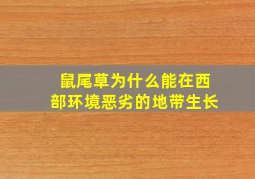 鼠尾草为什么能在西部环境恶劣的地带生长