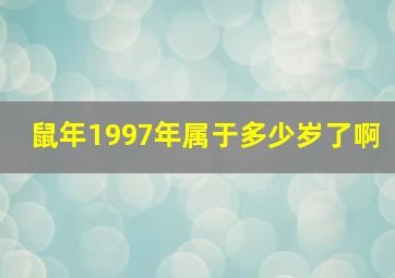 鼠年1997年属于多少岁了啊