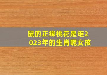 鼠的正缘桃花是谁2023年的生肖呢女孩