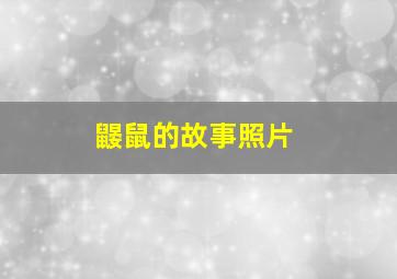 鼹鼠的故事照片