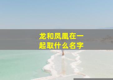 龙和凤凰在一起取什么名字