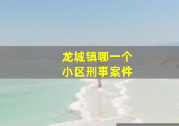 龙城镇哪一个小区刑事案件