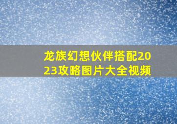 龙族幻想伙伴搭配2023攻略图片大全视频