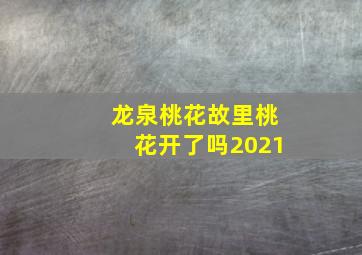 龙泉桃花故里桃花开了吗2021